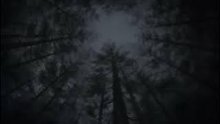 dido - thank you