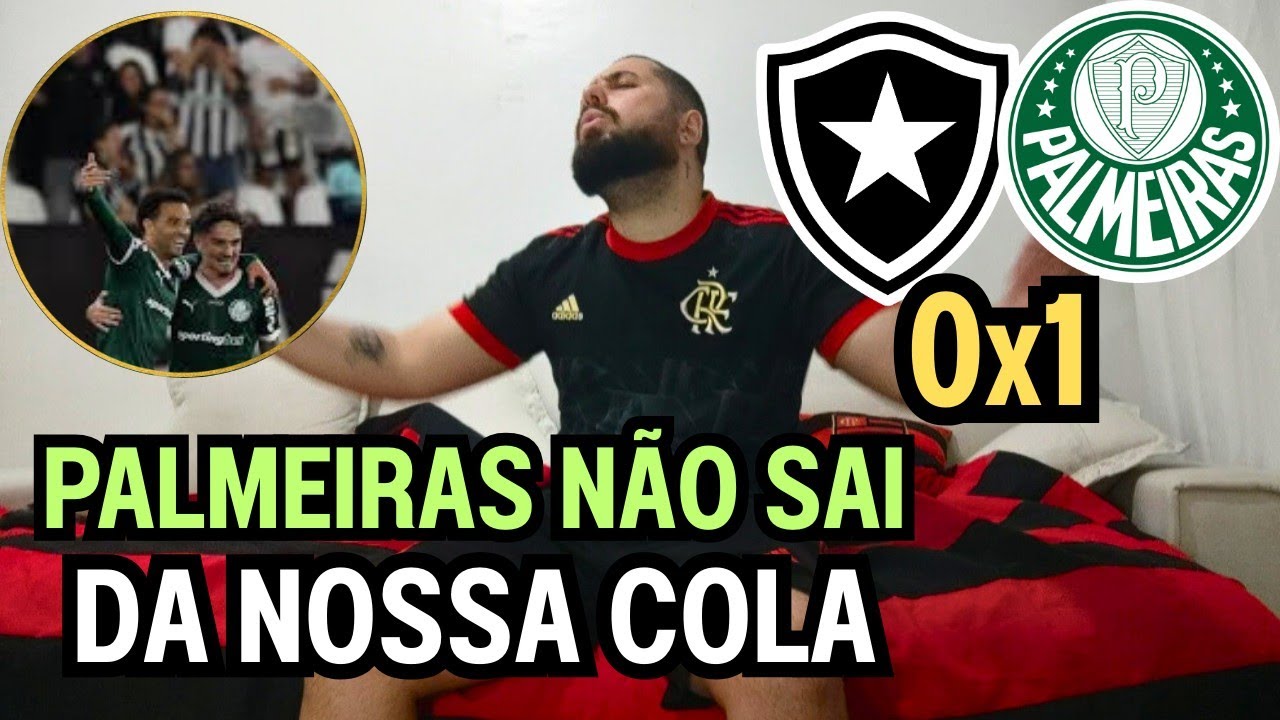 REACT MELHORES MOMENTOS BOTAFOGO 0X1 PALMEIRAS - PALMEIRAS BATE ...