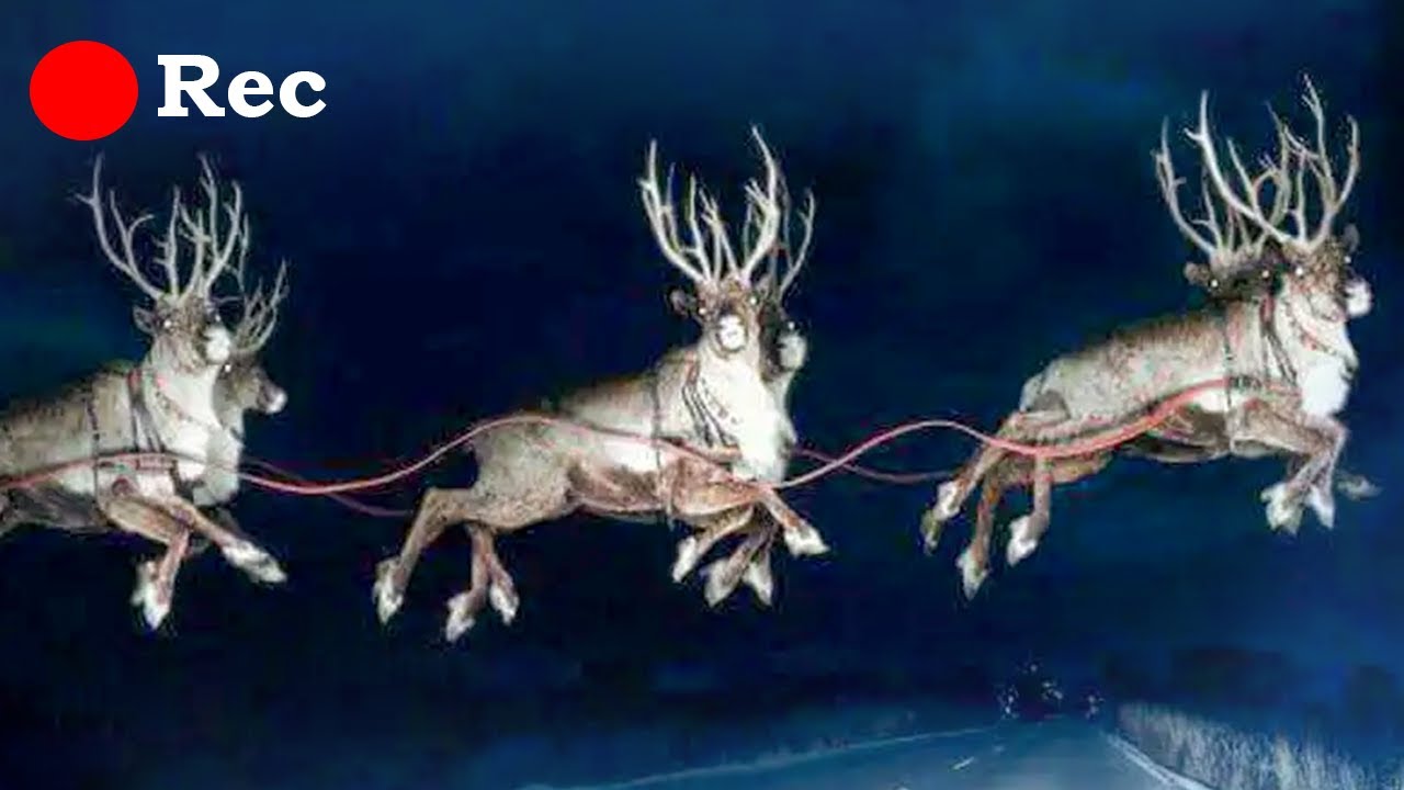 Santas Reindeer Were Caught On Camera YouTube Maxresdefault