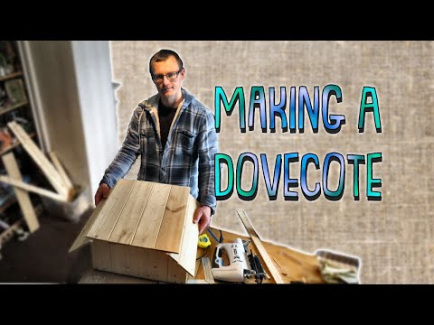 Video: How to build dovecotes with your own hands?