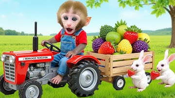 Monkey Nana Drives a tractor and faces off against the Cunning thief