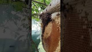 exskusi di pemukiman warga