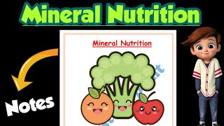 | Mineral Nutrition | Best handwritten Notes |Class 11| Biology | Ch-12 notes| @Edustudy_point