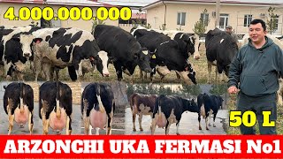 : ARZONCHI UKA XAZINASIDAN BIR TOMCHI 300 TA ESTON SHVET SIMENTAL UKRAINKA RASISKIY MONBLYARD RUSSIYA.