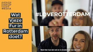 Rotterdam Tourist Information Vjeze Fur Op De Kunstbeurs In Rotterdam?