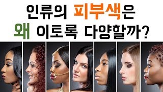 인류의 피부색은 왜 이토록 다양하게 진화했을까?