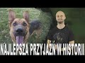 Najlepsza przyjaźń w historii - historia psów. Historia Bez Cenzury