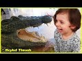 Dev Timsahların Olduğu Akvaryuma Gittik | Kids Aquarium Videos and Huge Crocodiles