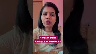 Adrenal gland changes in pregnancy