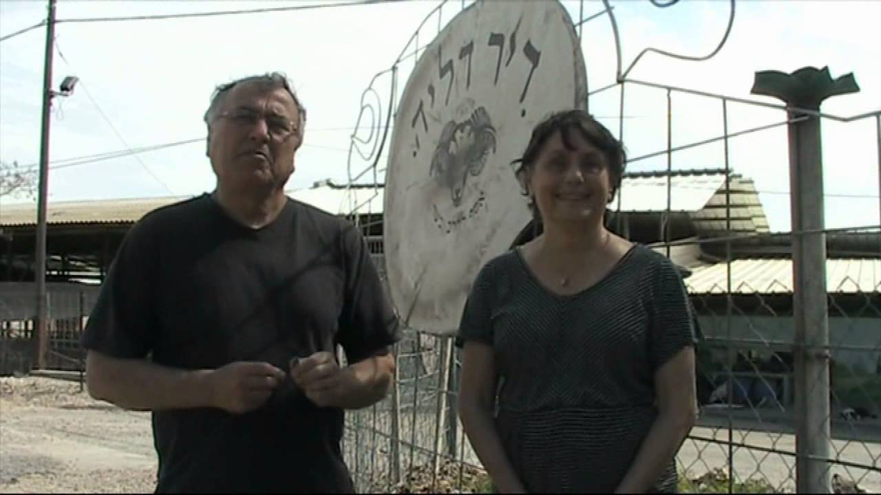 דינה ונחום מספרים על הדיר בדליה - מפעלו של ינקו סולומון אביהם.