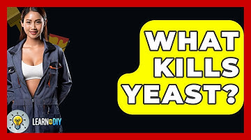 What Kills Yeast? - LearnToDIY360.com