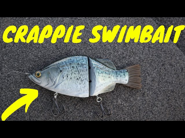 Fishing with ULTRA Realistic Crappie Swimbait (Livescope Bass