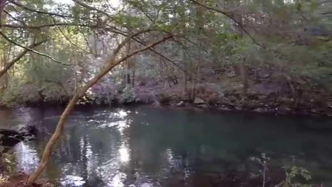 Tennessee Land for sale! Almost 20 Acres in Coalmont, Tennessee YouTube