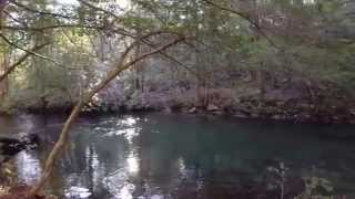 Tennessee Land for sale! Almost 20 Acres in Coalmont, Tennessee