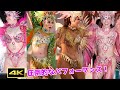 圧巻のパフォーマンス！【2024草加よさこいサンバ】【4K】【sambacarnival】