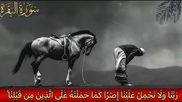 لَا یُكَلِّفُ ٱللَّهُ نَفۡسًا إِلَّا وُسۡعَها| أواخر سورة البقرة | رعد الكردي