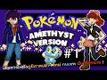Pokemon Amethyst GBA #1 เดินทางไปยังภูมิภาคเมก้า ใหม่ กบเทพ ฉันเลือกนาย !