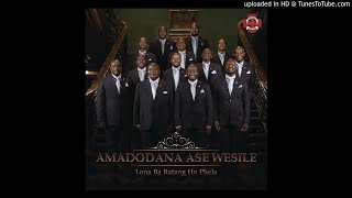 Amadodana ase wisile - Bonang Suna