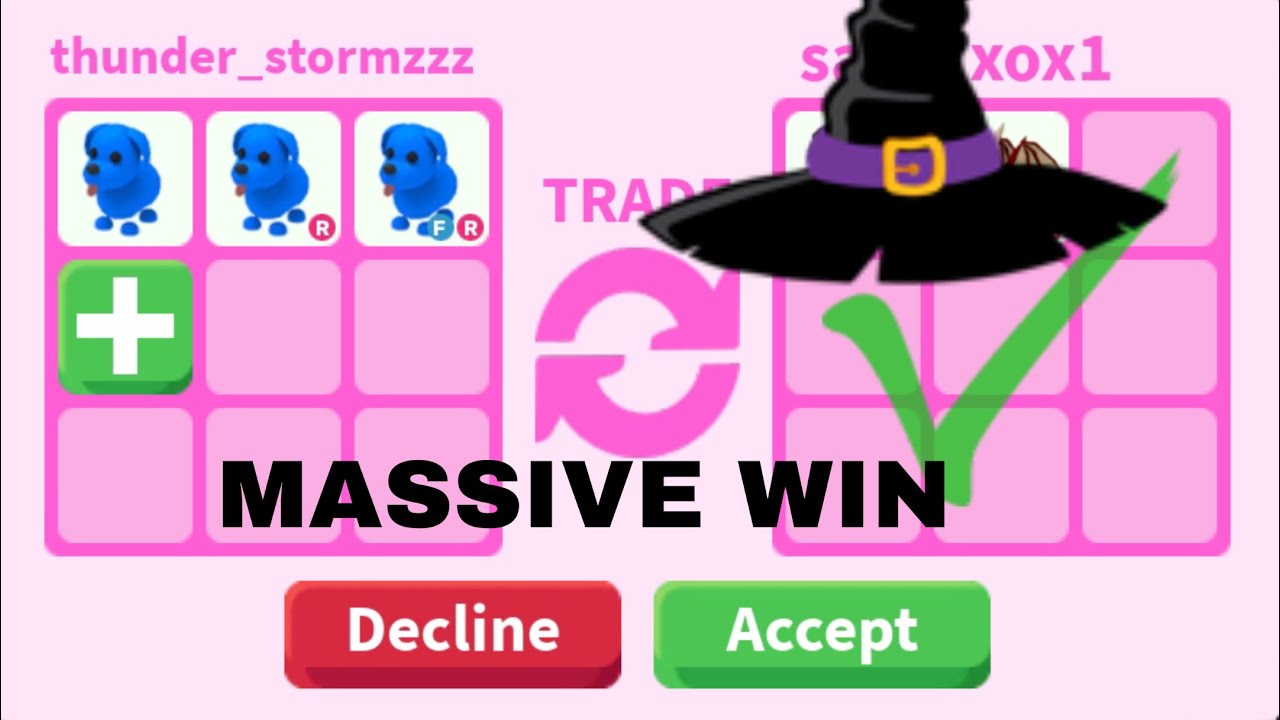 5 BIG WIN/FAIR TRADES FOR MY BLUE DOG!!!😍😱😱😱😨!!!!!