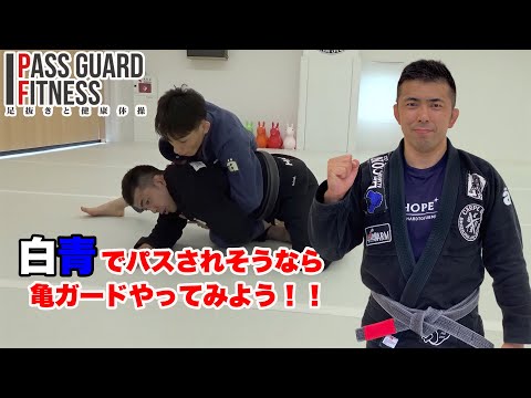 THE MASTERS GUARD　柔術　BJJ THE MASTERS GUARD 柔術 BJJ