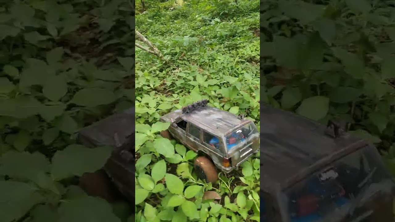 tipis tipis ngontrol kebun 