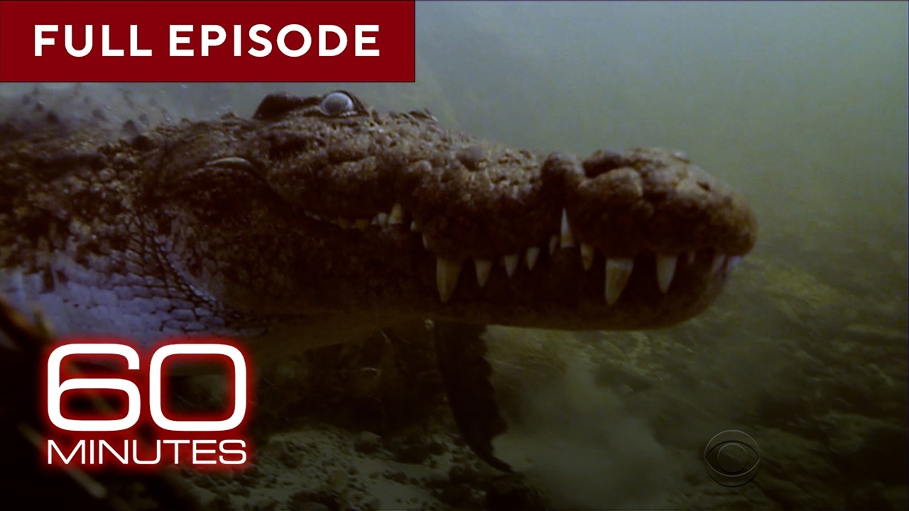 Reptiles: Complete 60-Minute Episodes