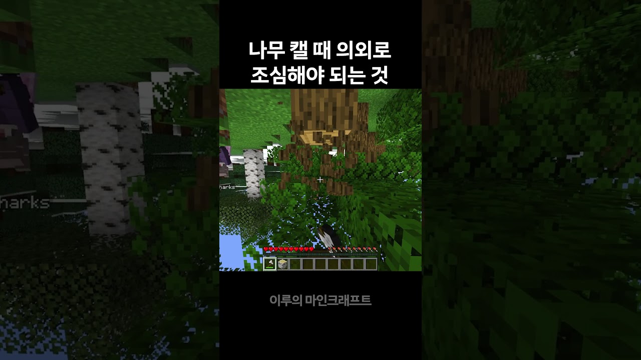 나무 캘 때 의외로 조심해야 하는 것