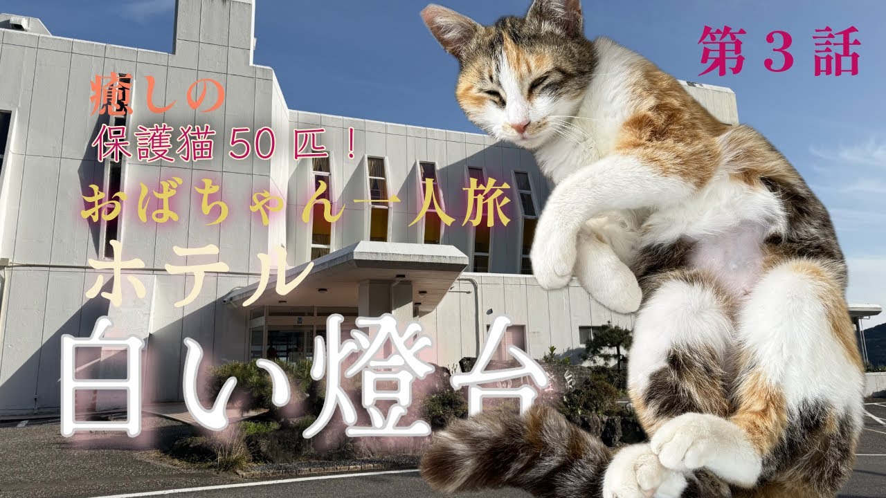 第3話　保護猫50匹に癒されまくるホテル白い燈台にまたまた宿泊してきました