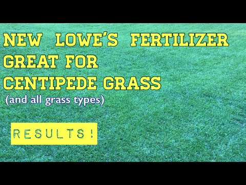 Fertilizer that is GREAT for Centipede Grass!! (& all grass types)