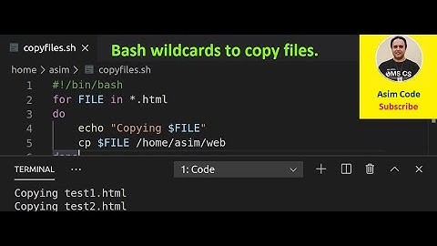 Bash wildcards to copy files