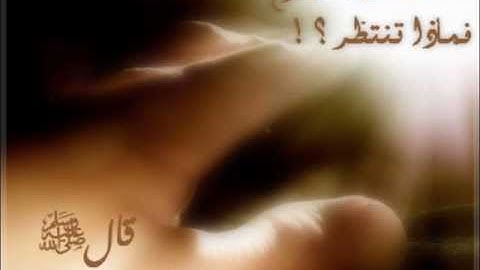 سورة الفجر ناصر القطامي