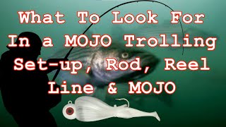 Choosing The Right MOJO Trolling Rod & Reel For Striped Bass & Other Game Fish screenshot 3