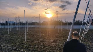 Trellis & Micro Irrigation Installation | Meva