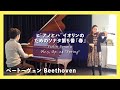 ベートーヴェン:ピアノとバイオリンのためのソナタ第5番『春』(ピアノ・ヴァイオリン)/Beethoven:Violin Sonata No.5 "Spring"(Violin・Piano)