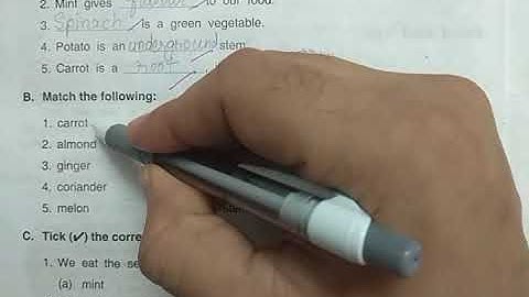 DAV Nahan Class-III Science Lesson-8, Part-13