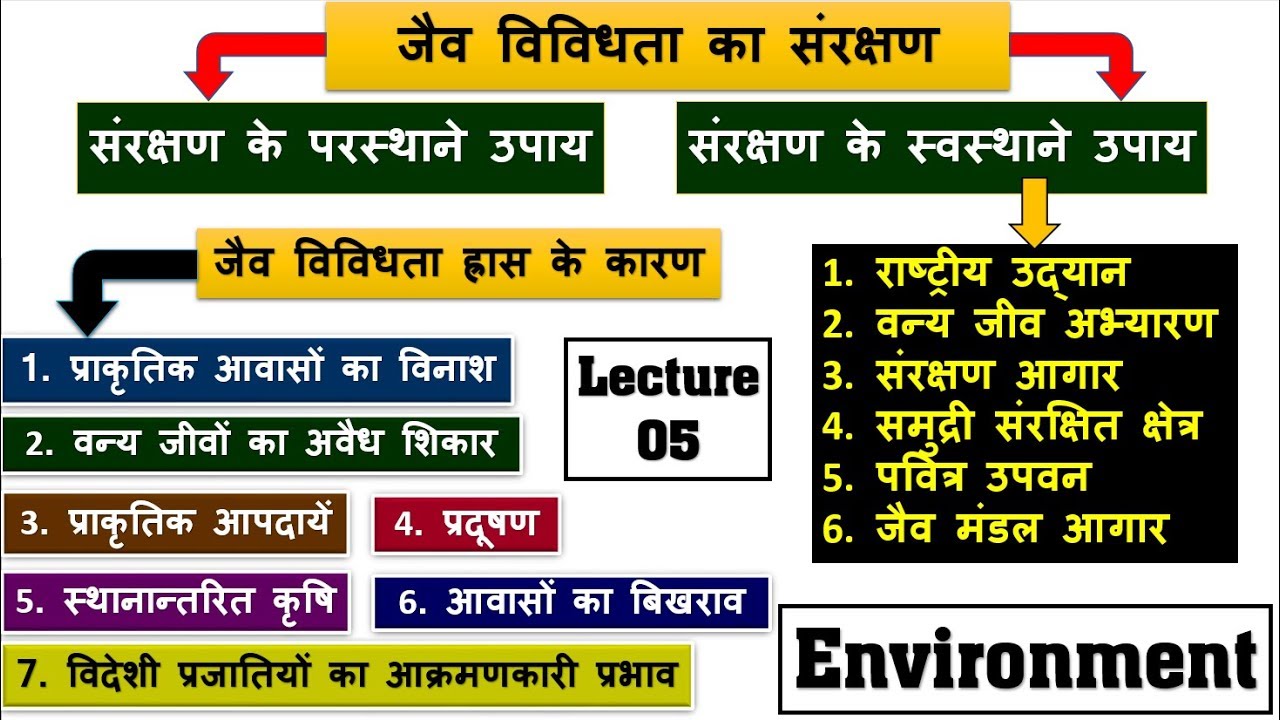 5.Rastriya Udyan|Vanya Jeev Abhyaran|Sanrakshan Aagar|Samudri Sanrakshit |Pavitra UpwanStudy91