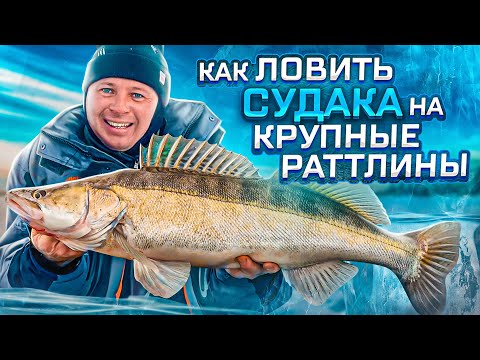 Как ловить судака на крупные вибы и раттлины ? Судак сходит с ума!