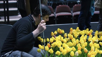 What is an Audio Described Performance?