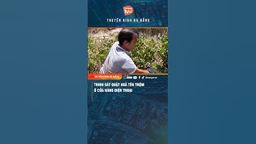 #shorts TRINH SÁT QUẬT NGÃ TÊN TRỘM Ở CỬA HÀNG ĐIỆN THOẠI