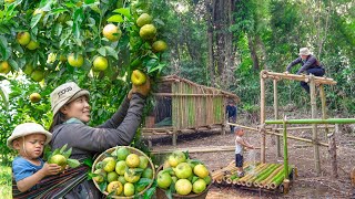 Life Single Mother: Build a Bamboo Bathroom - Harvest Orange Goes To Market Sell | Đinh Thị Thương