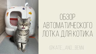 Обзор автоматического лотка для кошек