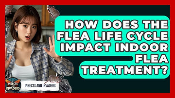 How Does The Flea Life Cycle Impact Indoor Flea Treatment? - Insects and Invaders