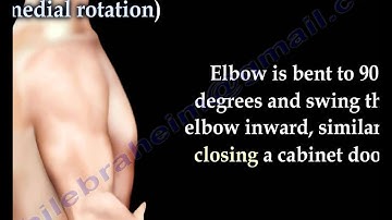 Shoulder Examination Range Of Motion Shoulder - Everything You Need To Know - Dr. Nabil Ebraheim