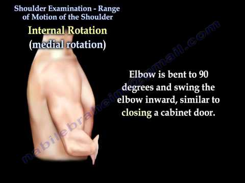 Shoulder Examination Range Of Motion Shoulder - Everything You Need To Know - Dr. Nabil Ebraheim