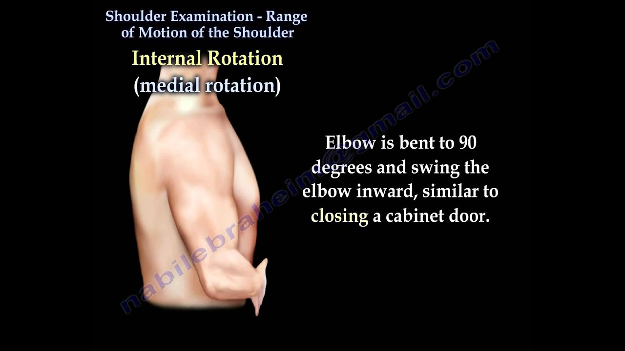 Arm Range Of Motion Chart