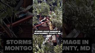 Storms leave damage in Montgomery County, Md.