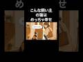 ↓詳細は下の▶︎をタップ👇️【獣医師が驚く】猫を本当に大切にしている飼い主の特徴7選