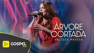 Valesca Mayssa | Cut Tree [Live at the Todah 10th Anniversary Show]