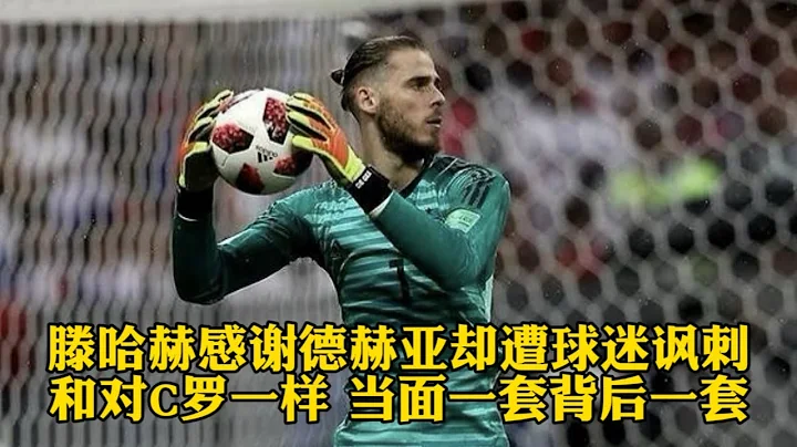 滕哈赫感谢德赫亚却遭球迷讽刺：和对C罗一样，当面一套背后一套 - 天天要闻