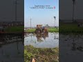 ✨Engineering gives me a career, but agriculture gives me my true identity 🌾❤️#youtubeshorts #farmer